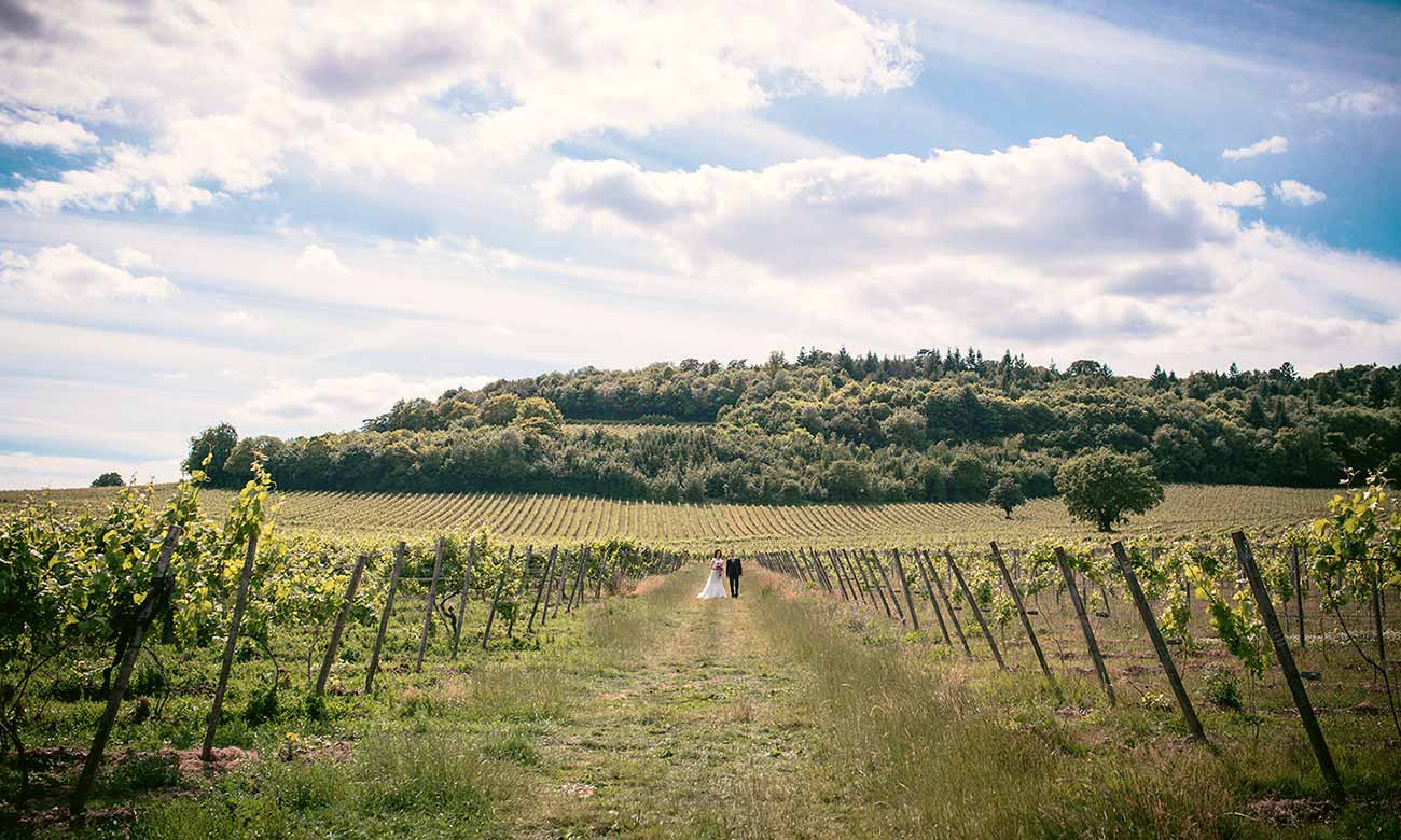 Denbies Wine Estate