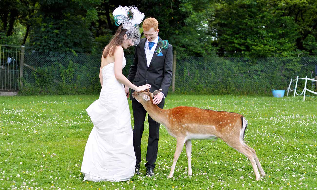 Dartmoor Zoo