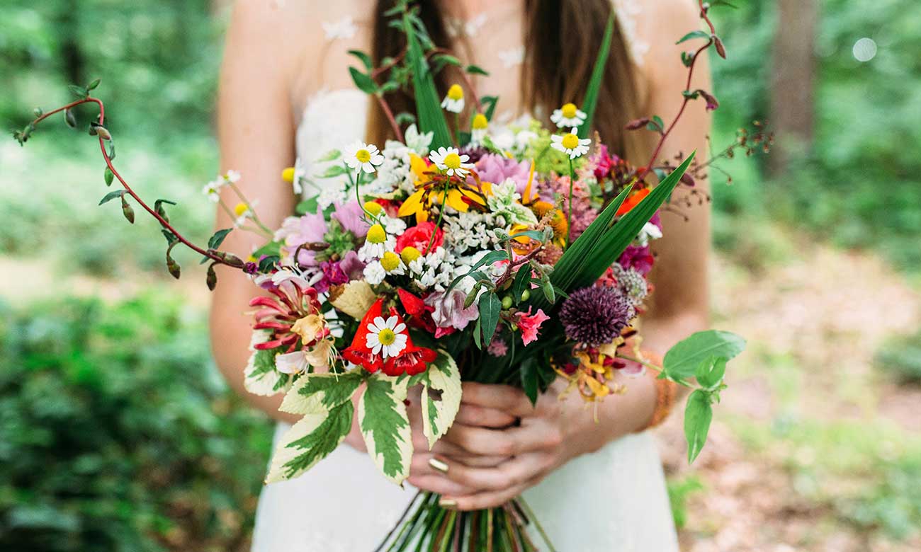 Camomile and Cornflowers           